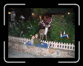 Copy of IMG_0235 * 2048 x 1536 * (1.18MB)